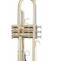 Startone STR-25 Bb-Trumpet.jpg|Соляр Мар'ян 